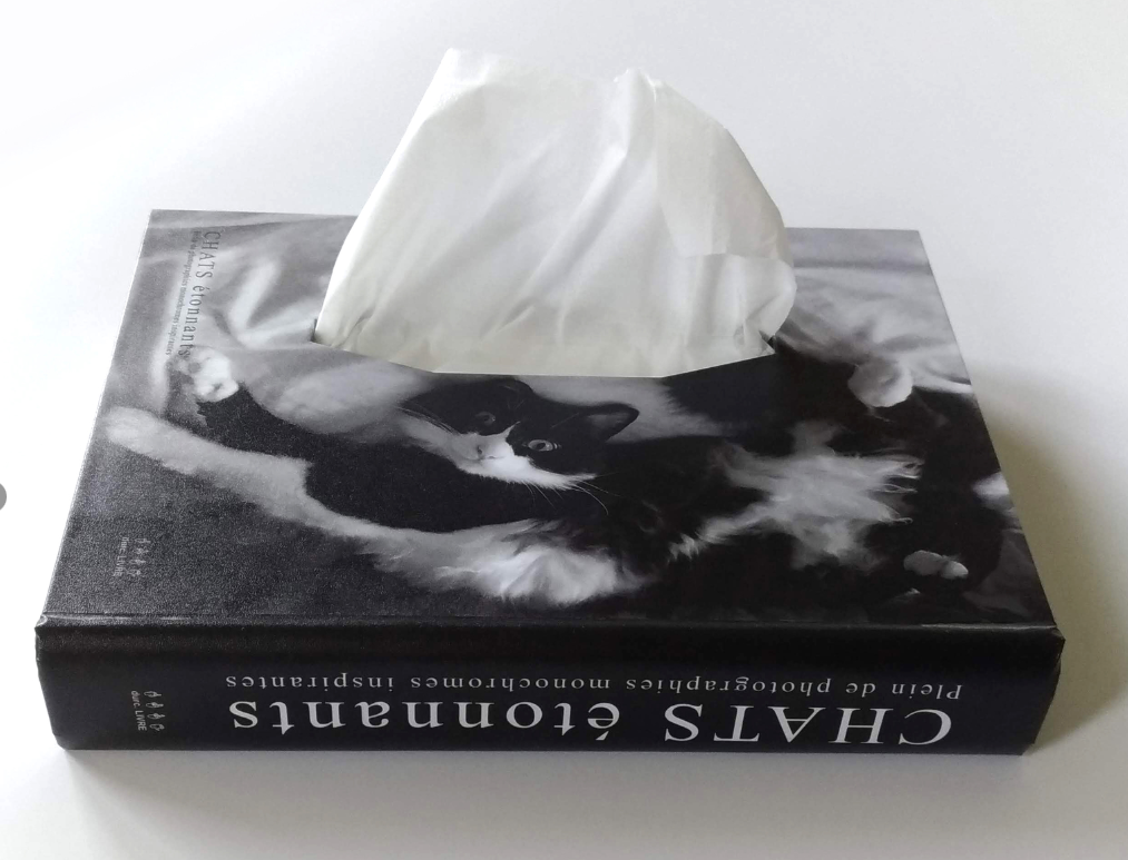 ティッシュを「隠す」だけで、部屋の印象が変わった話