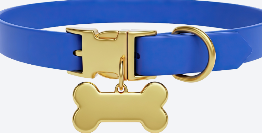 犬と暮らす中で考えた、迷子札のこと